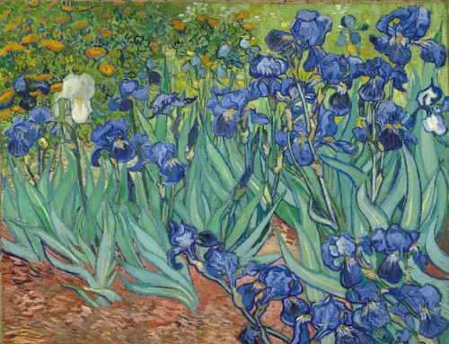 Reproduction Artworks – Van Gogh’s Irises